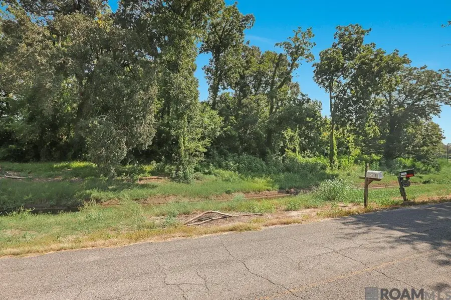 TBD LOT 5-A-1-A New River Canal Rd, Geismar, LA 70734 - Image #3