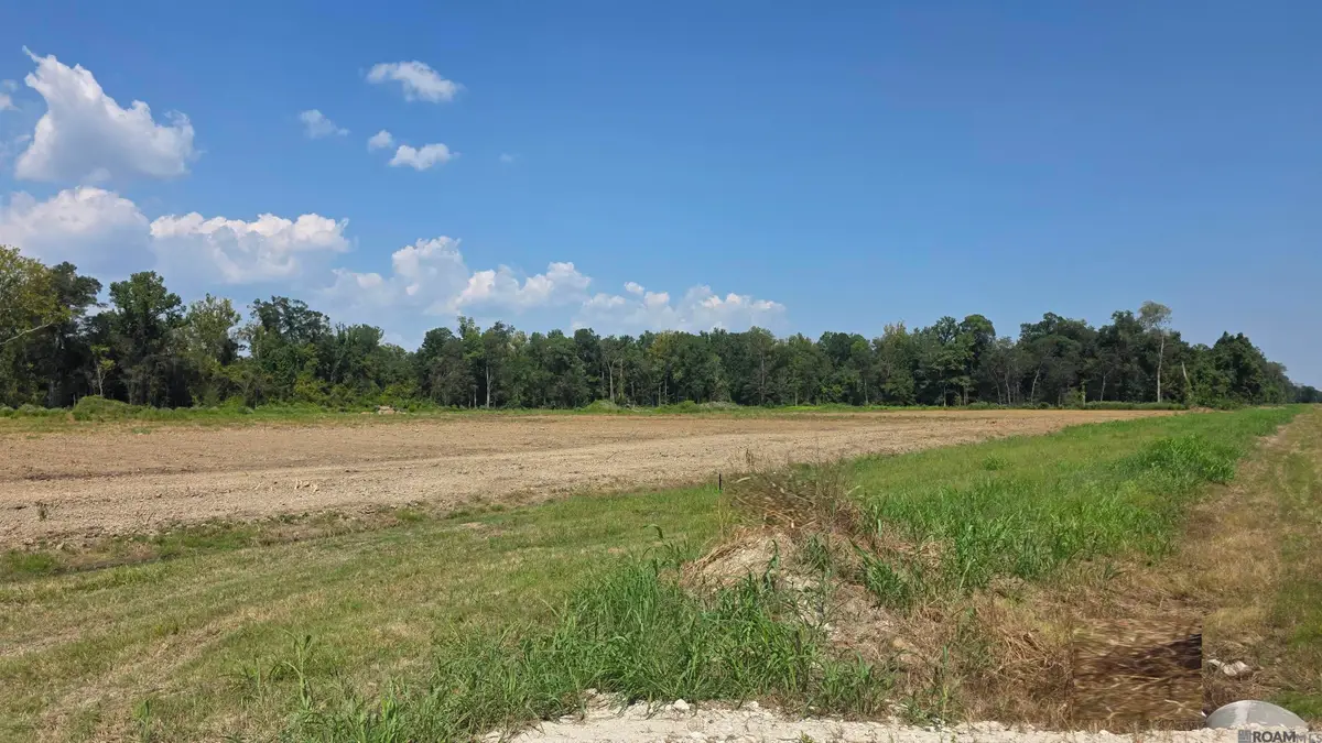 39262 W Edenborne Parkway, Gonzales, LA 70737 - Image #1