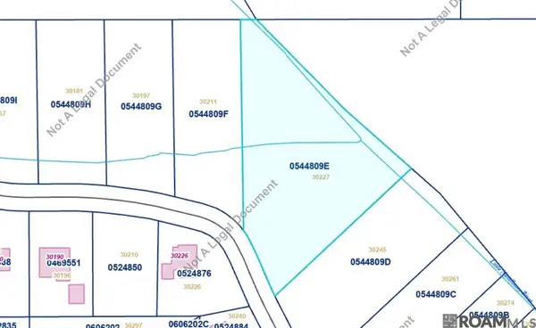 30227 Jericho Dr, Albany, LA 70711