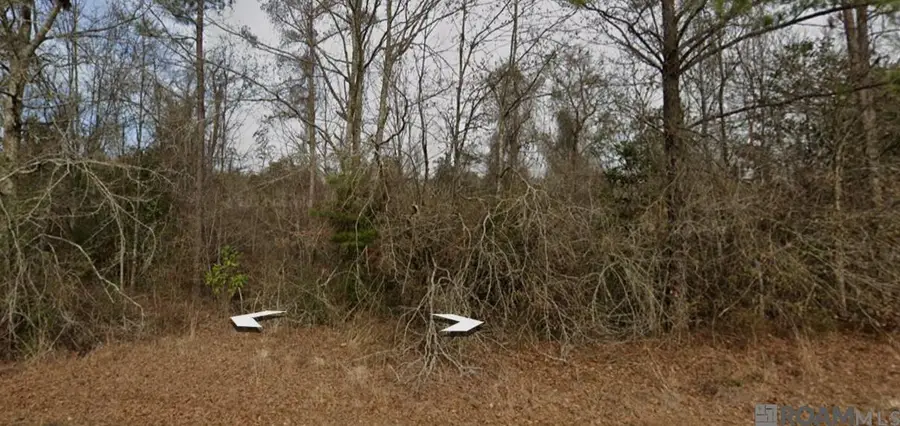 30227 Jericho Dr, Albany, LA 70711 - Image #2