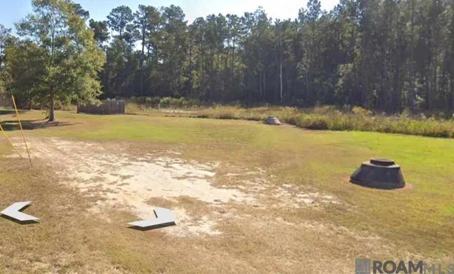 31618 Ferina Ln, Albany, LA 70711 - Image #2