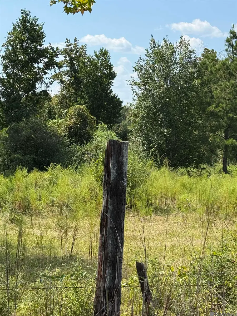 00 Alex Rd, Gloster, MS 39638 - Image #2