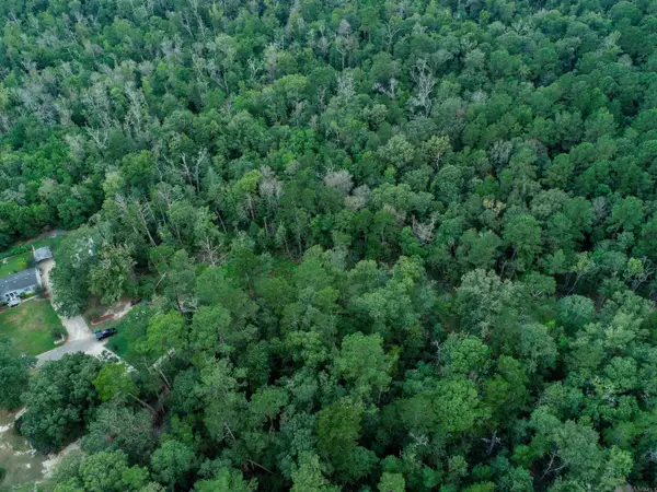 tbd Pinkney Ln, Walker, LA 70785