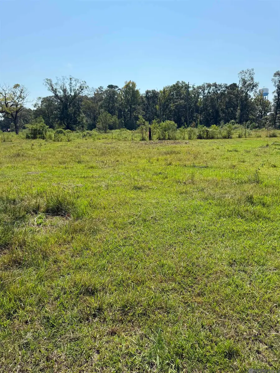 Tract B-1,2,3 Lockhart Rd, Denham Springs, LA 70726 - Image #3