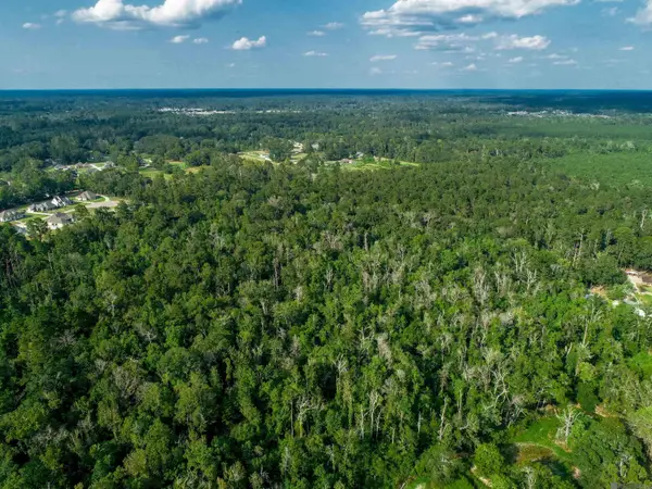 tbd Pinkney Ln, Walker, LA 70785