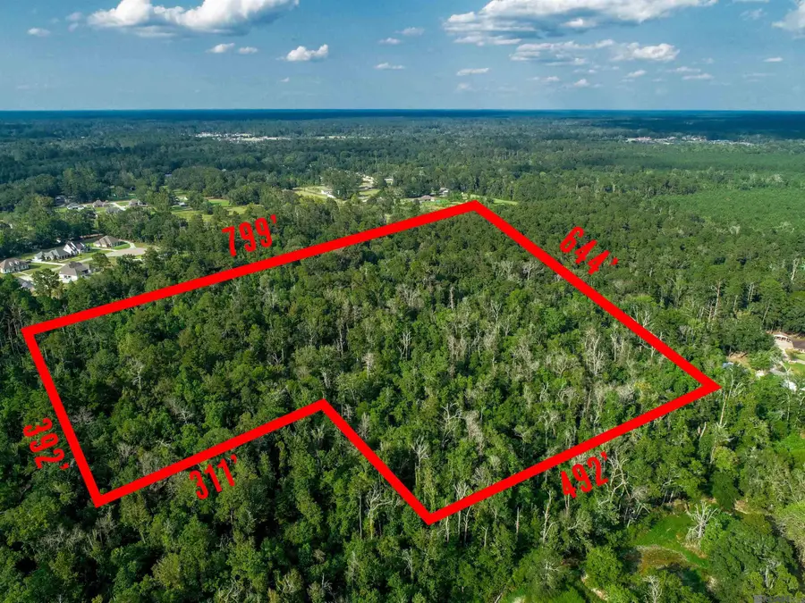 tbd Pinkney Ln, Walker, LA 70785 - Image #2