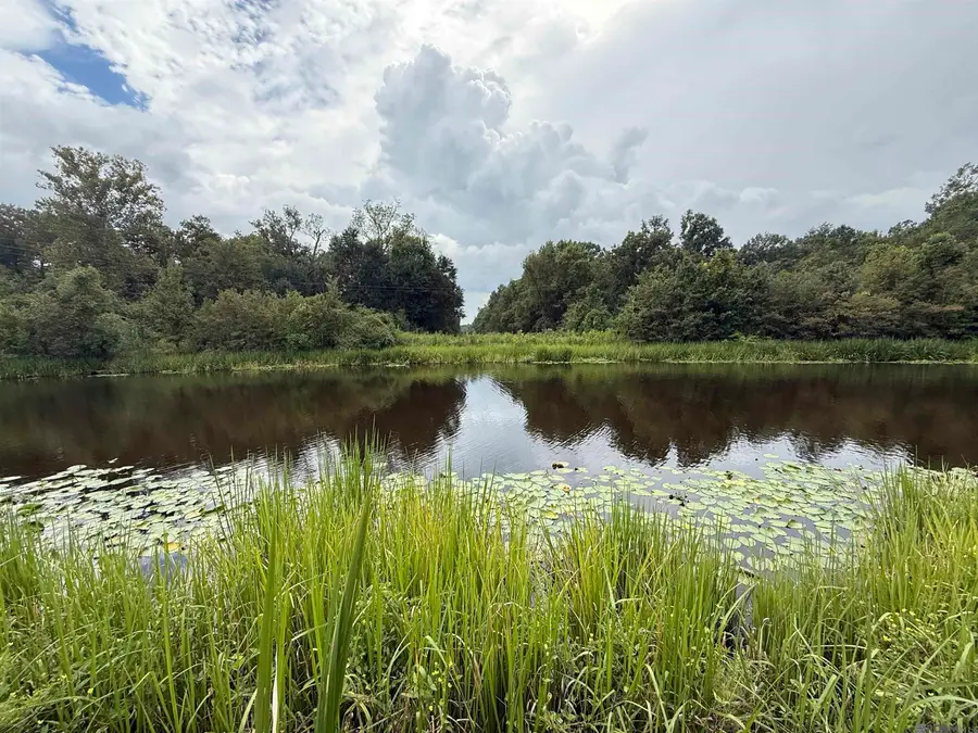 6-Z-1-C Pertuis Rd, Saint Amant, LA 70774 - Image #3