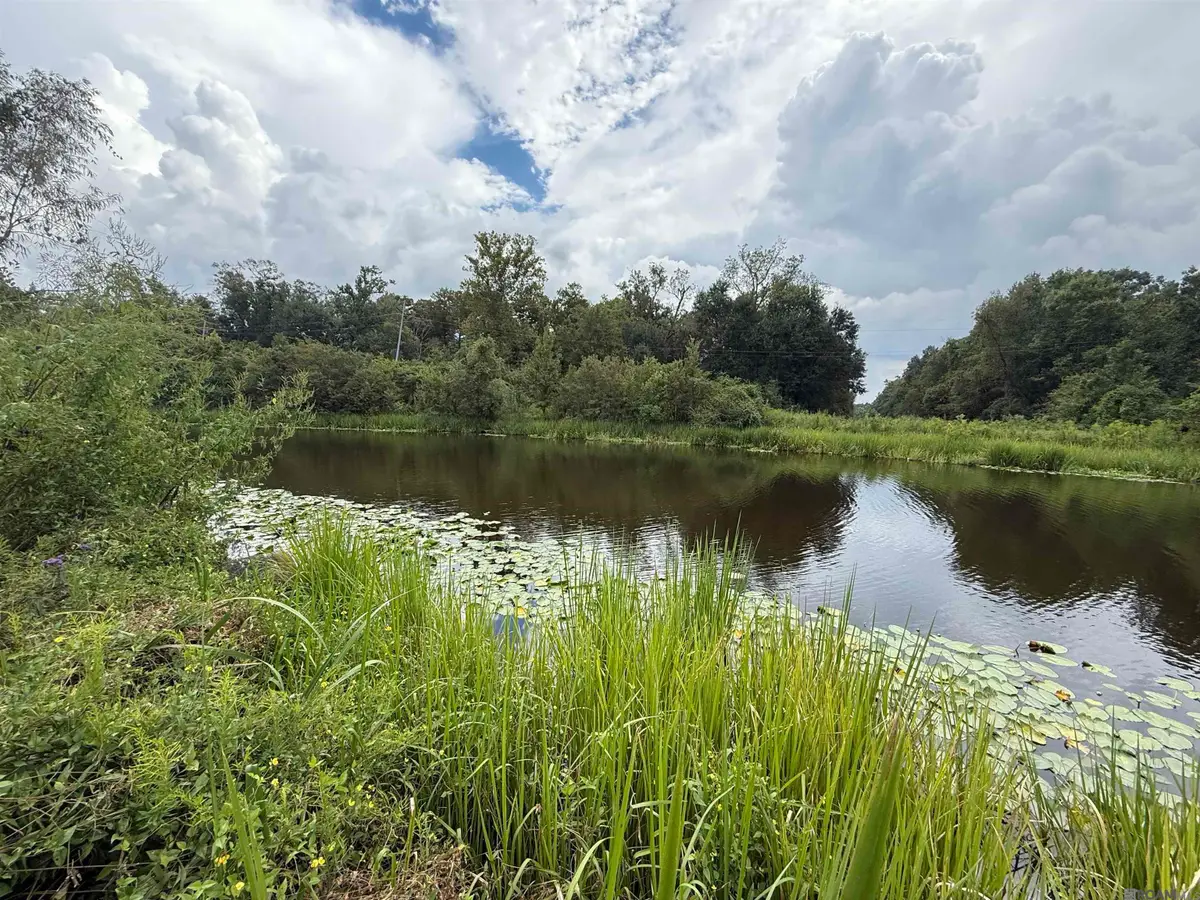 6-Z-1-D Pertuis Rd, Saint Amant, LA 70774 - #1