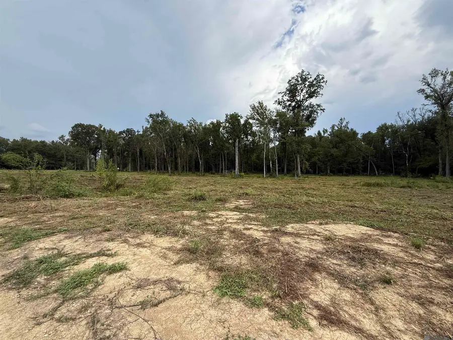 6-Z-1-D Pertuis Rd, Saint Amant, LA 70774 - #2