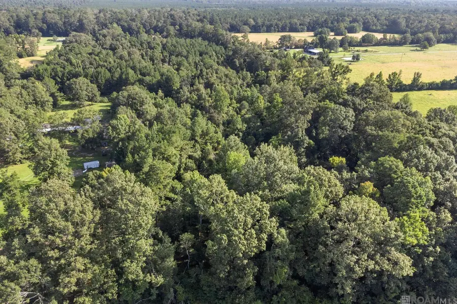 TBD Port Hudson Pride Rd, Pride, LA 70770 - Image #2