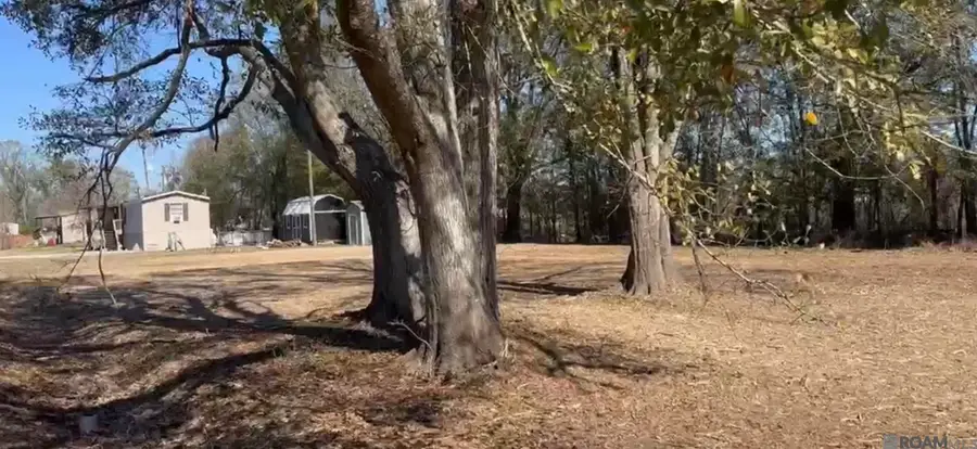 .31 Acres Rod Anderson Rd, Saint Amant, LA 70774 - #3