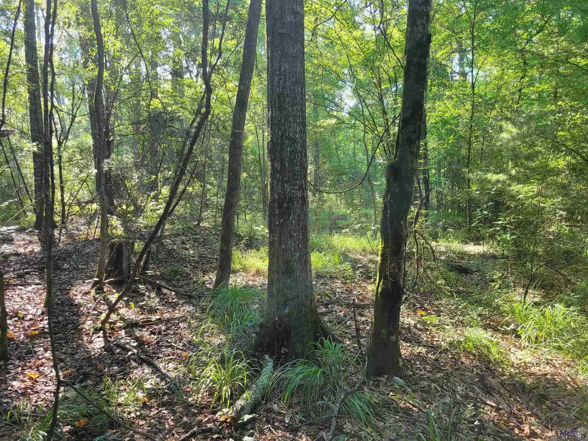 26799-26355 Greenwell Springs Rd, Greenwell Springs, LA 70739 - Image #1