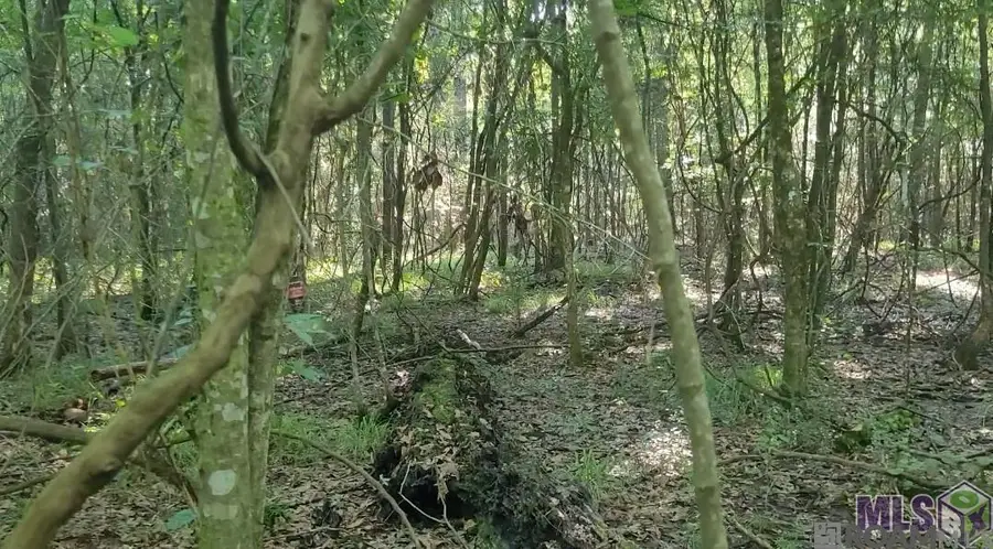26799-26355 Greenwell Springs Rd, Greenwell Springs, LA 70739 - Image #2