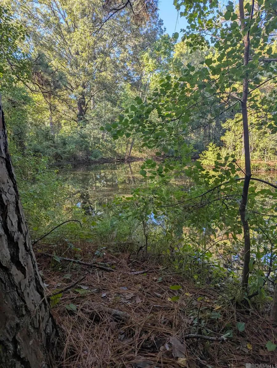 23154 Joe May Rd, Denham Springs, LA 70706 - Image #2