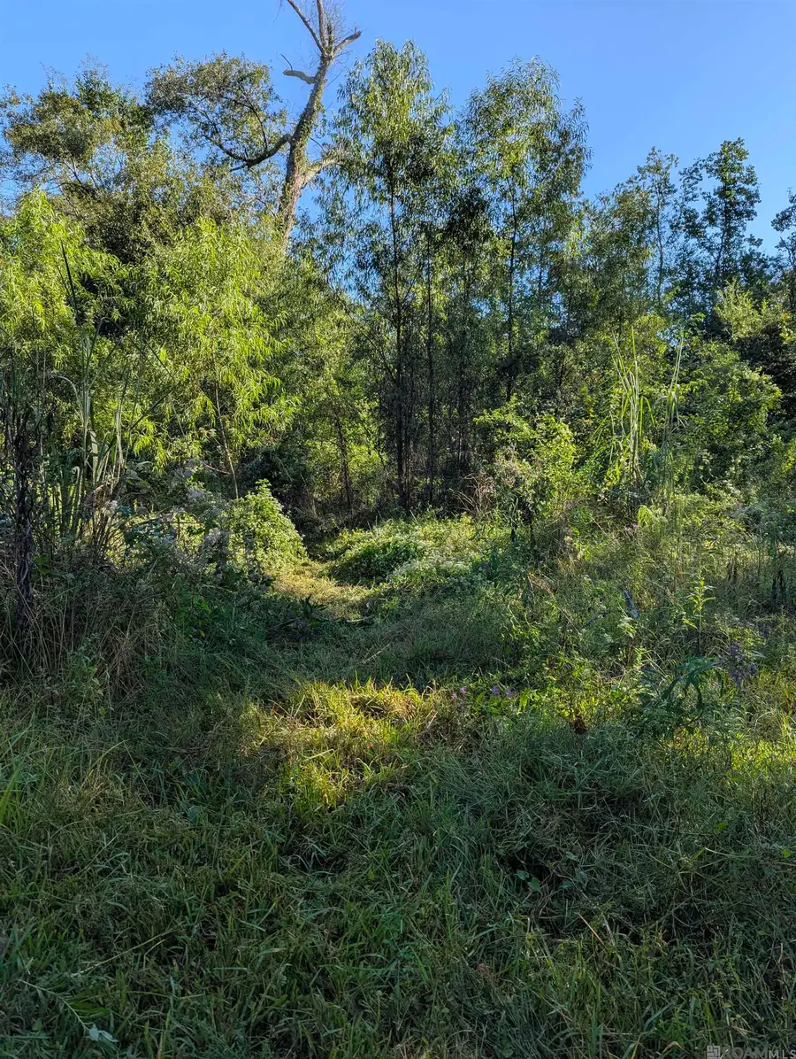 23154 Joe May Rd, Denham Springs, LA 70706 - Image #3