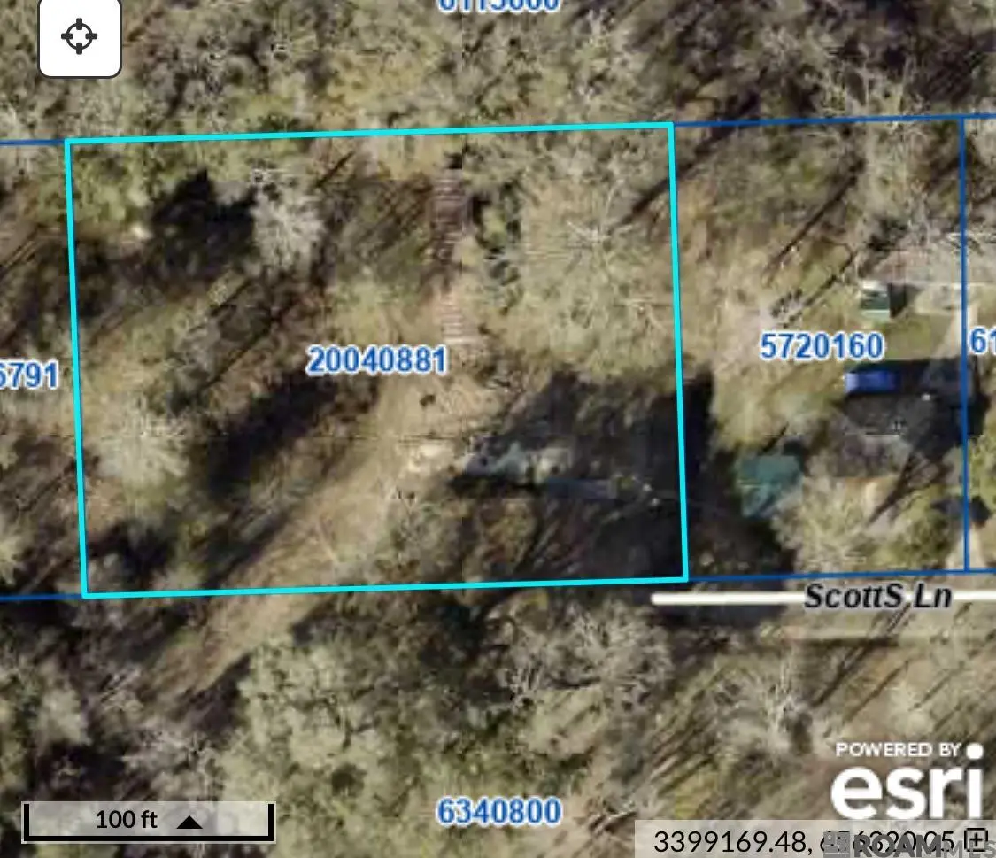 38482 Scott Ln, Prairieville, LA 70769 - Image #1