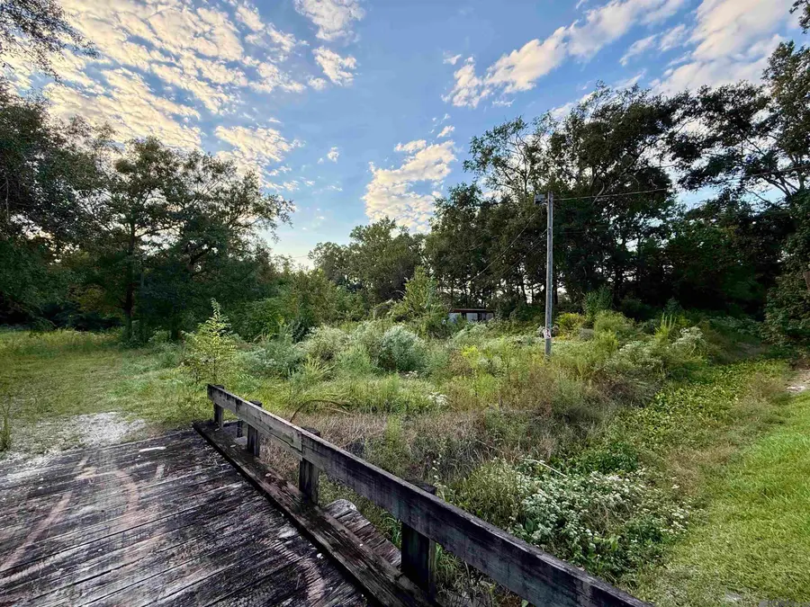 38482 Scott Ln, Prairieville, LA 70769 - Image #3