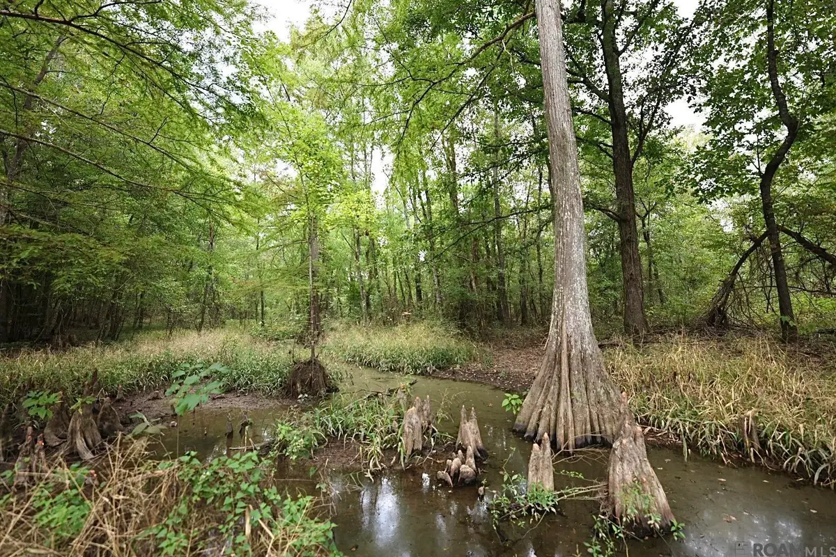 211 Fred Rogers Road, Montgomery, LA 70394 - Image #1