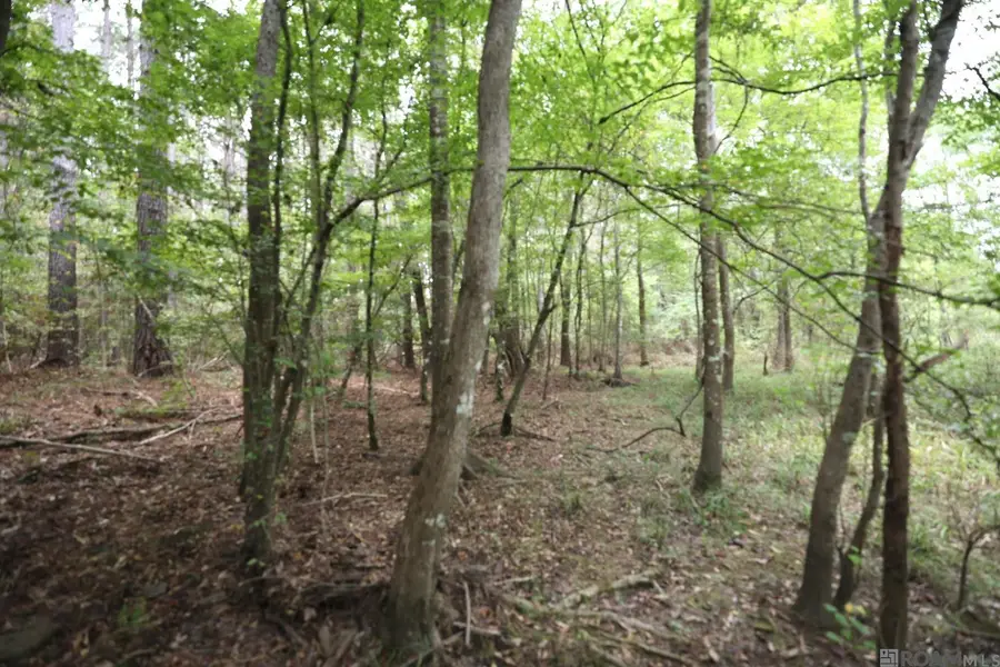 211 Fred Rogers Road, Montgomery, LA 70394 - Image #3