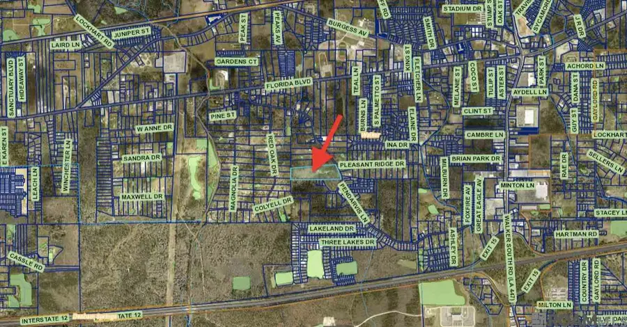 12436 Pendarvis Ln, Walker, LA 70785 - Image #3