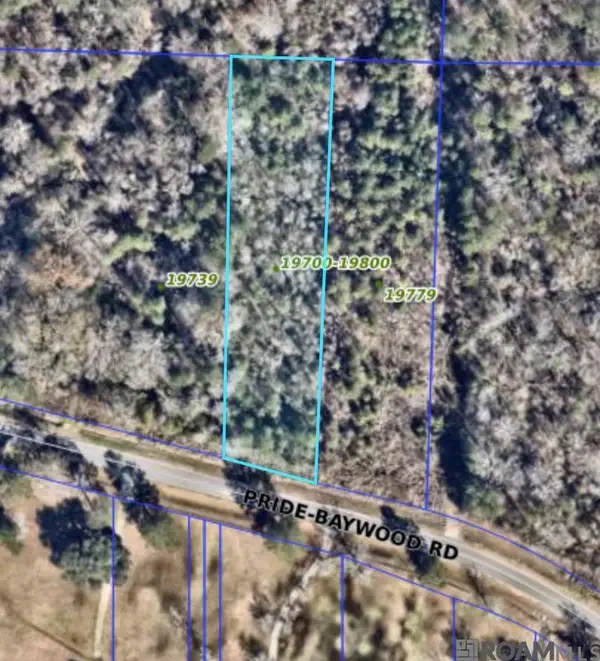 19759 Pride-baywood Rd, Greenwell Springs, LA 70739