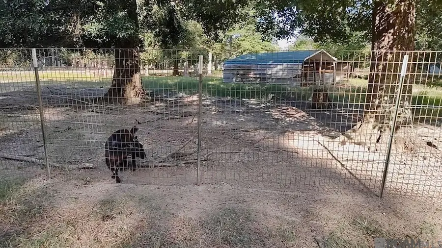 38707 John Lanier Rd, Walker, LA 70785 - Image #3