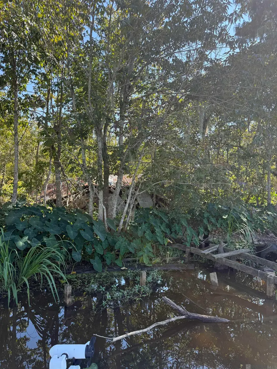 660 Alligator Bayou (by Boat), Maurepas, LA 70449 - Image #3