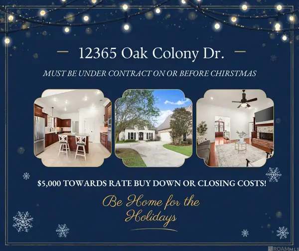 12365 Oak Colony Dr, Geismar, LA 70734