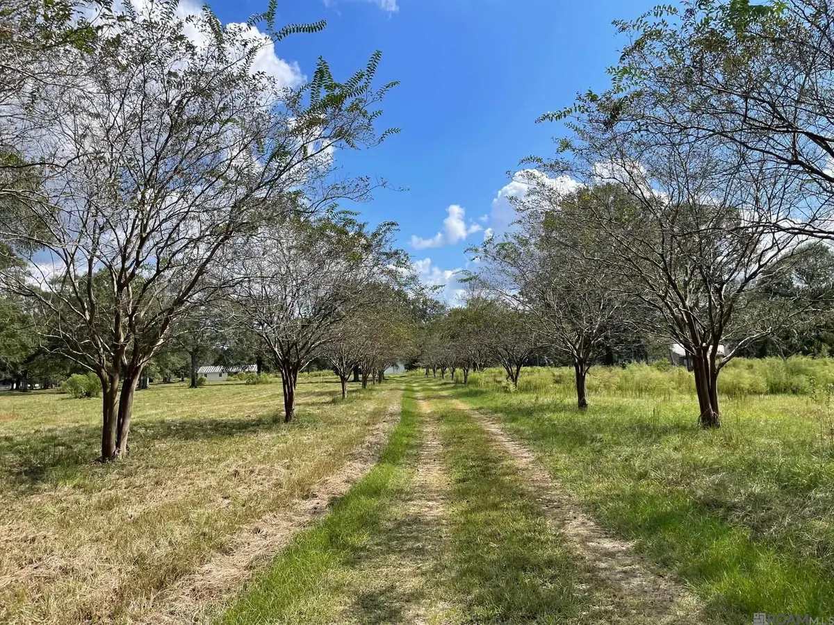 37688 Webb Rd, Denham Springs, LA 70706 - Image #1