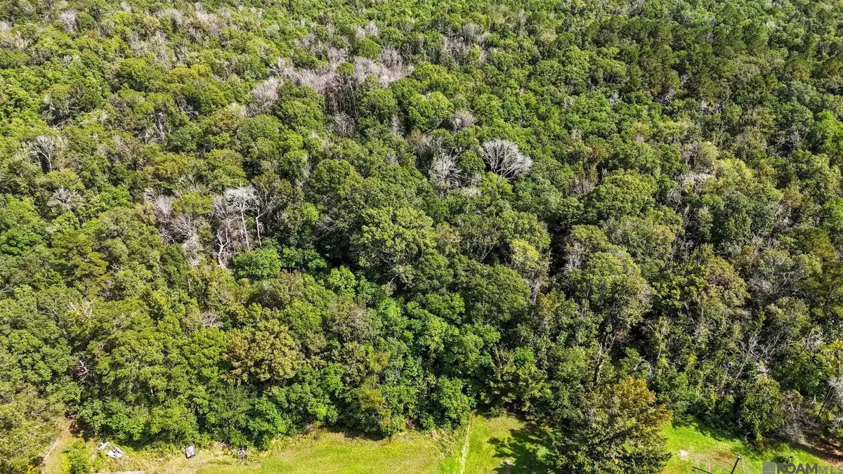 13-A Carmen Dr, Denham Springs, LA 70706 - Image #1