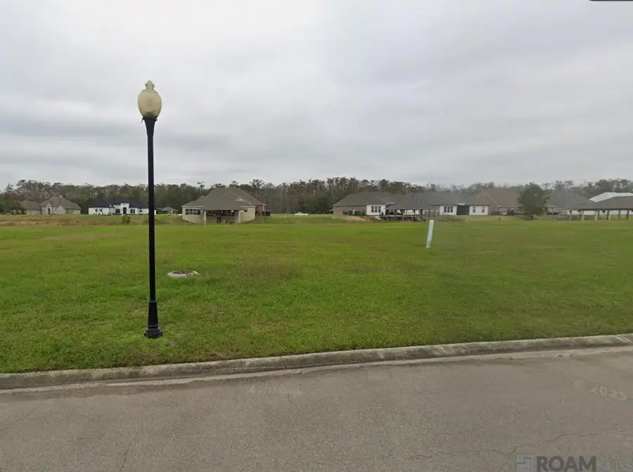 21441 Bluefin Dr, Springfield, LA 70462 - Image #2