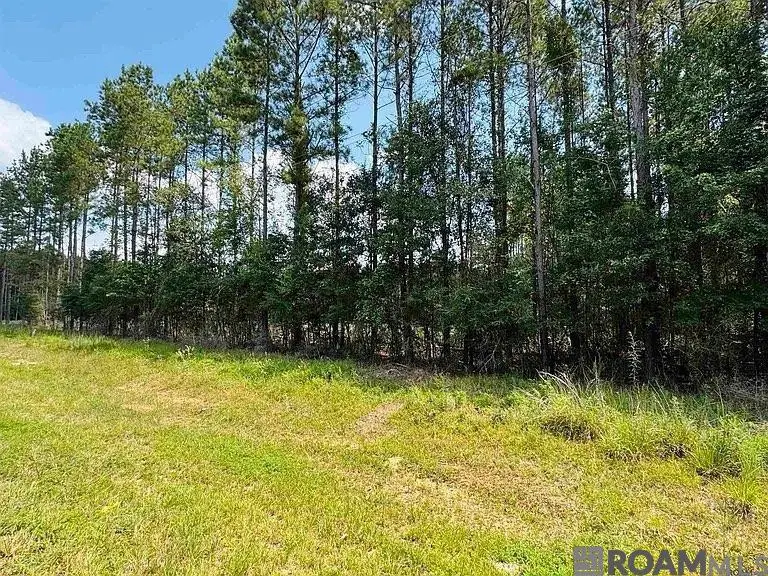 Lot 4 La Hwy 449, Pine Grove, LA 70453 - Image #1