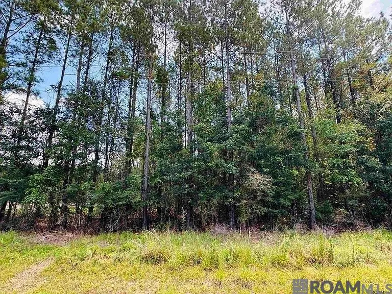Lot 4 La Hwy 449, Pine Grove, LA 70453 - Image #3