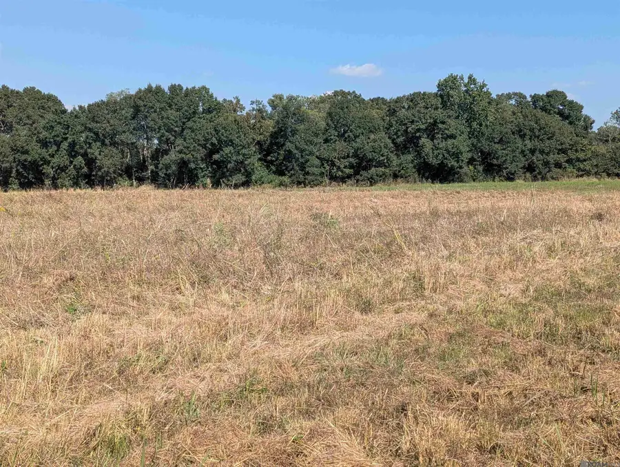 1929 E Milton Rd, Youngsville, LA 70592 - Image #3