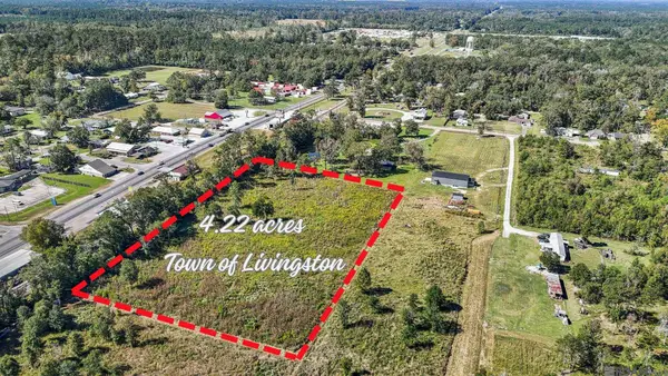 30054 N Range Rd, Livingston, LA 70754