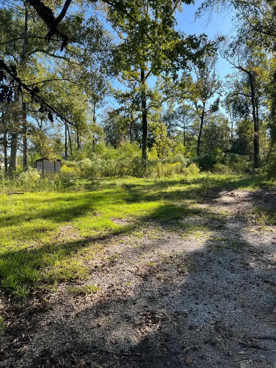 29960 Henderson Ln, Walker, LA 70785 - Image #3