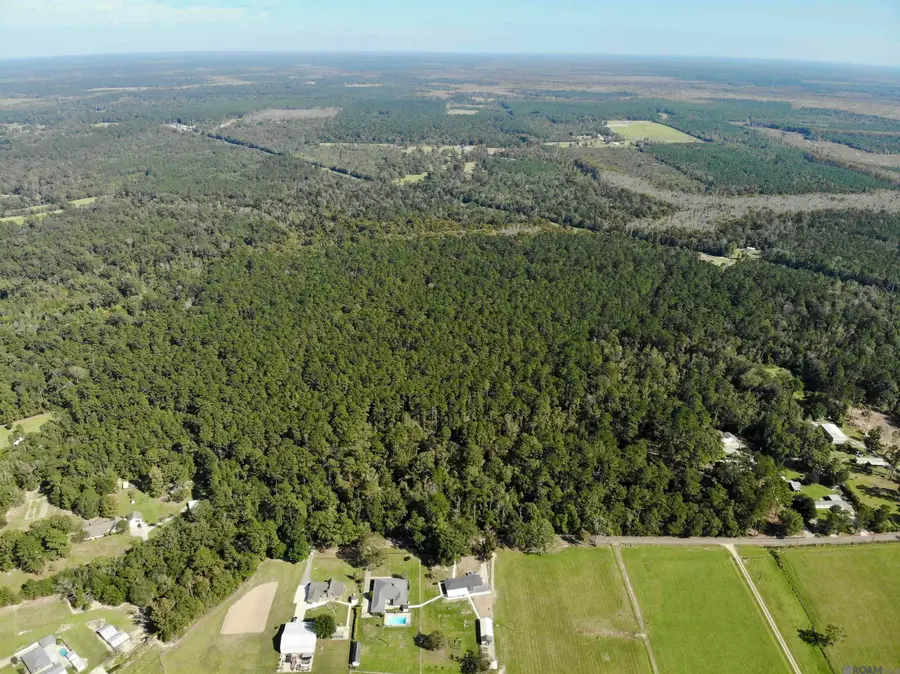 TBD Guitreau Rd, Livingston, LA 70754 - Image #3