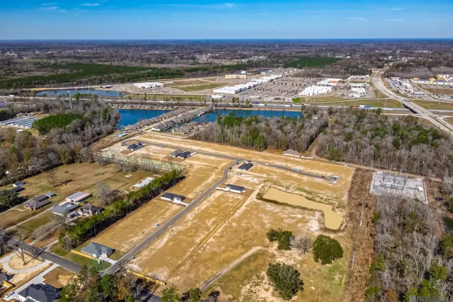 10674 Deric Ave, Denham Springs, LA 70726 - #3