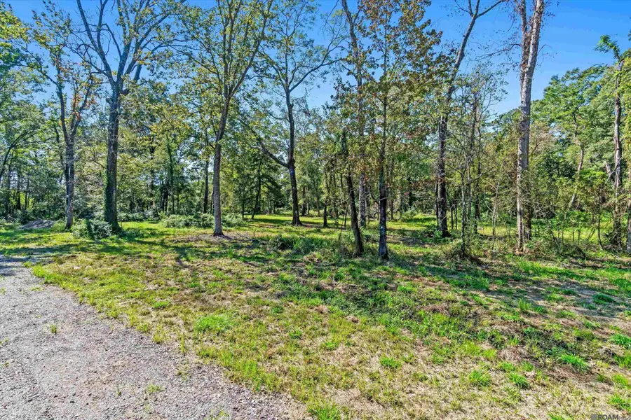 TBD Banway Dr, Central, LA 70739 - Image #3