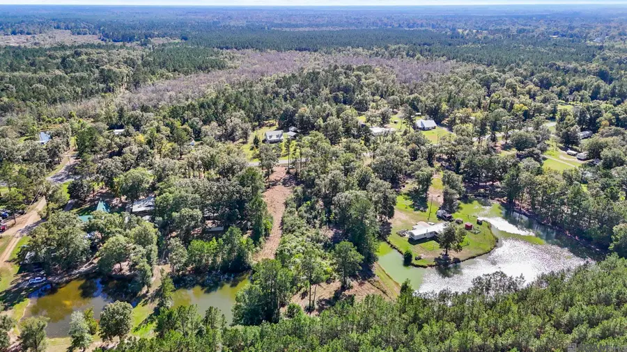 23731 Highway 42 Highway, Holden, LA 70754 - Image #3