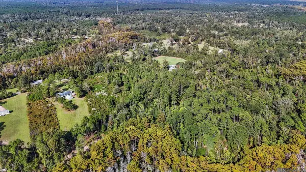 29882 Lower Rome Rd, Springfield, LA 70462