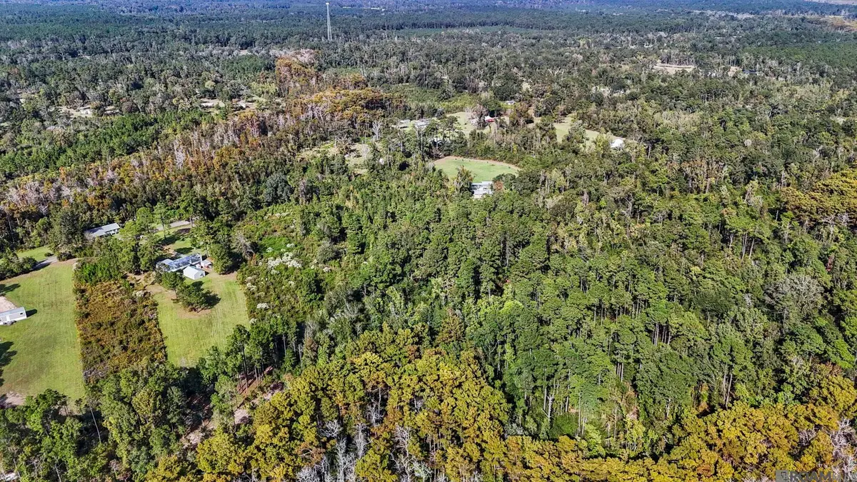 29916 Lower Rome Rd, Springfield, LA 70462 - Image #1