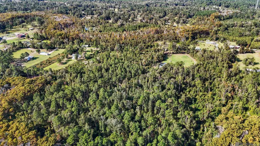 29916 Lower Rome Rd, Springfield, LA 70462 - Image #3