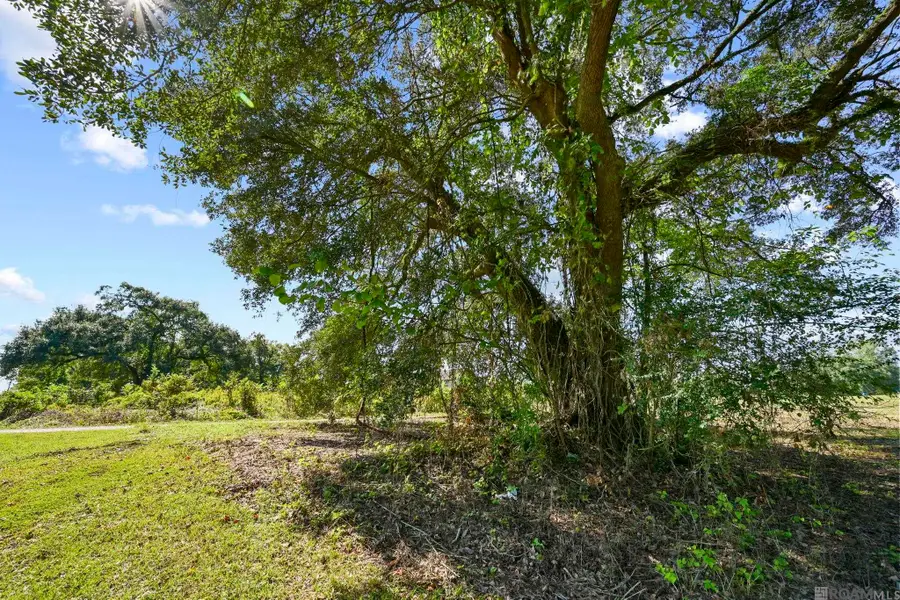 9782 West Feliciana Pkwy, Saint Francisville, LA 70775 - Image #3
