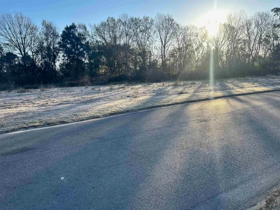 1486 Marque Ann Dr, Baton Rouge, LA 70815 - #2