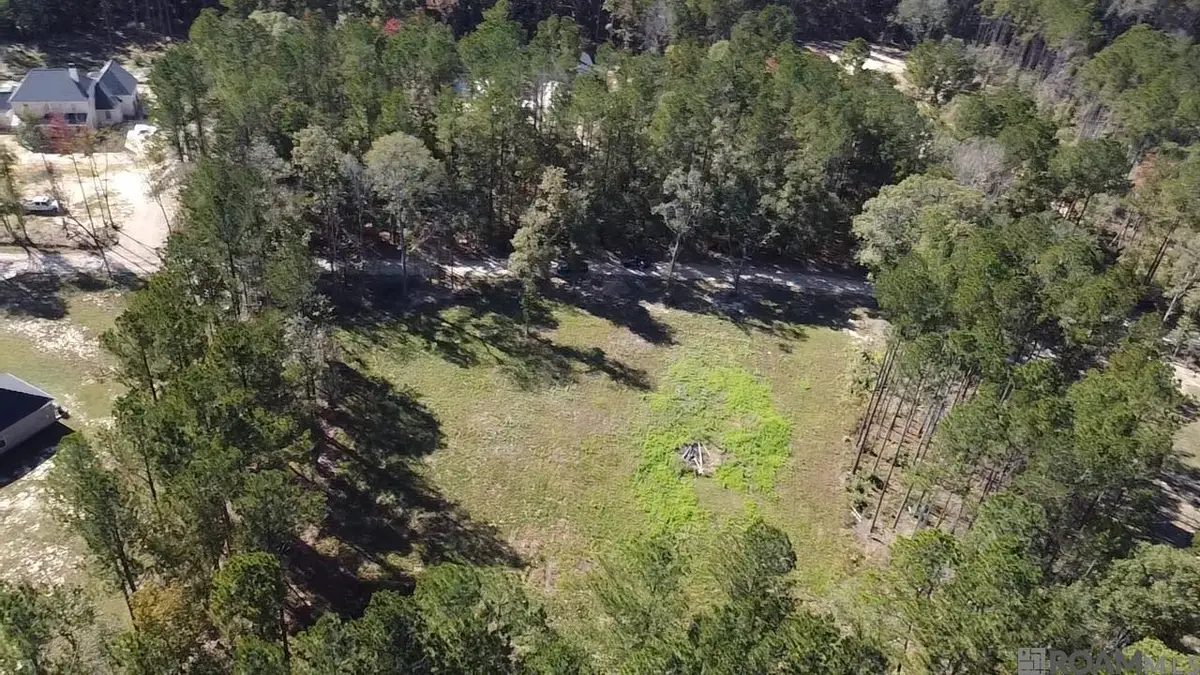 137 Burkett Ln, Denham Springs, LA 70706 - Image #1