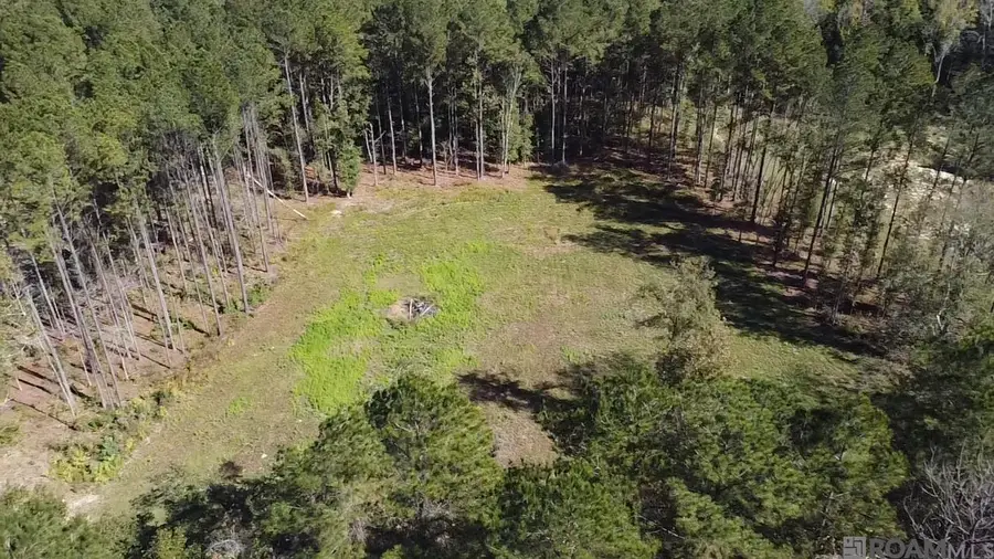 137 Burkett Ln, Denham Springs, LA 70706 - Image #3