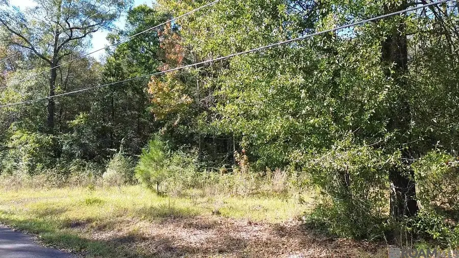 17400 Carroll Rd, Bogalusa, LA 70427 - Image #2
