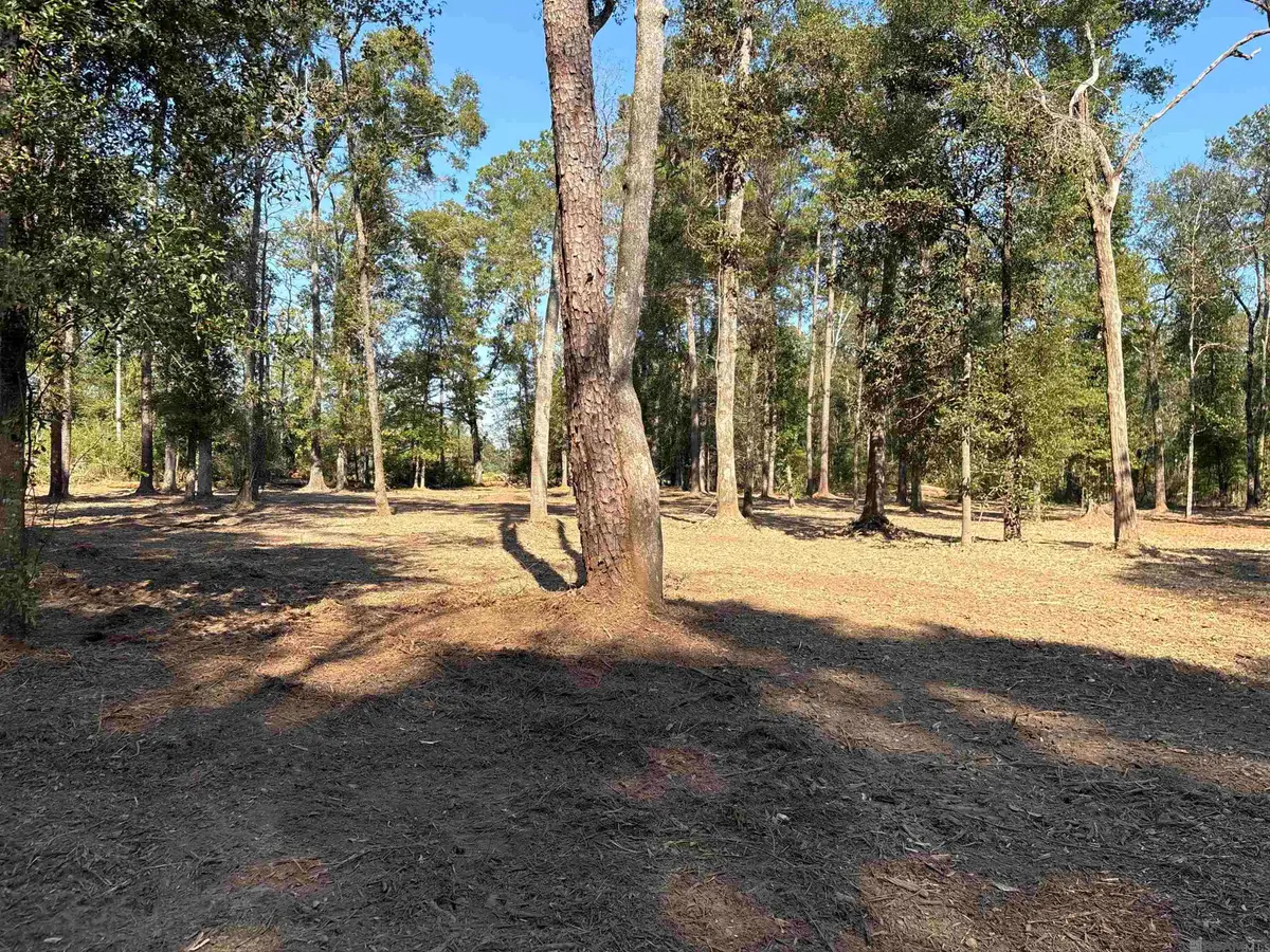 334 Westmoreland Ln, Montpelier, LA 70422 - Image #1