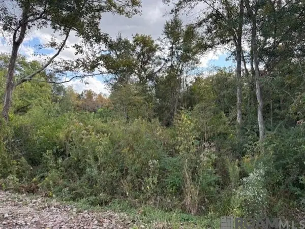 Cornerview Rd, Gonzales, LA 70737